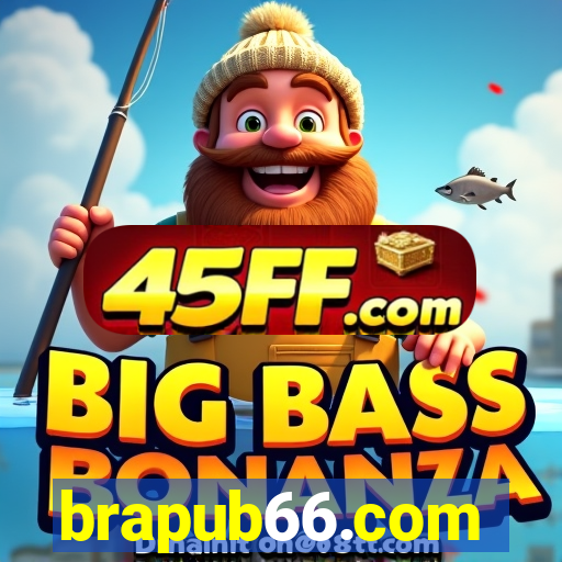 brapub66.com