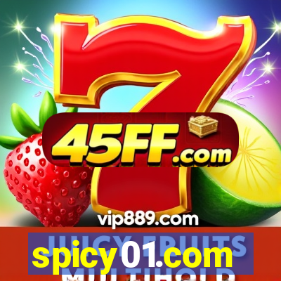 spicy01.com